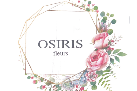 Osiris Fleurs